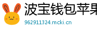 波宝钱包苹果版安装教程